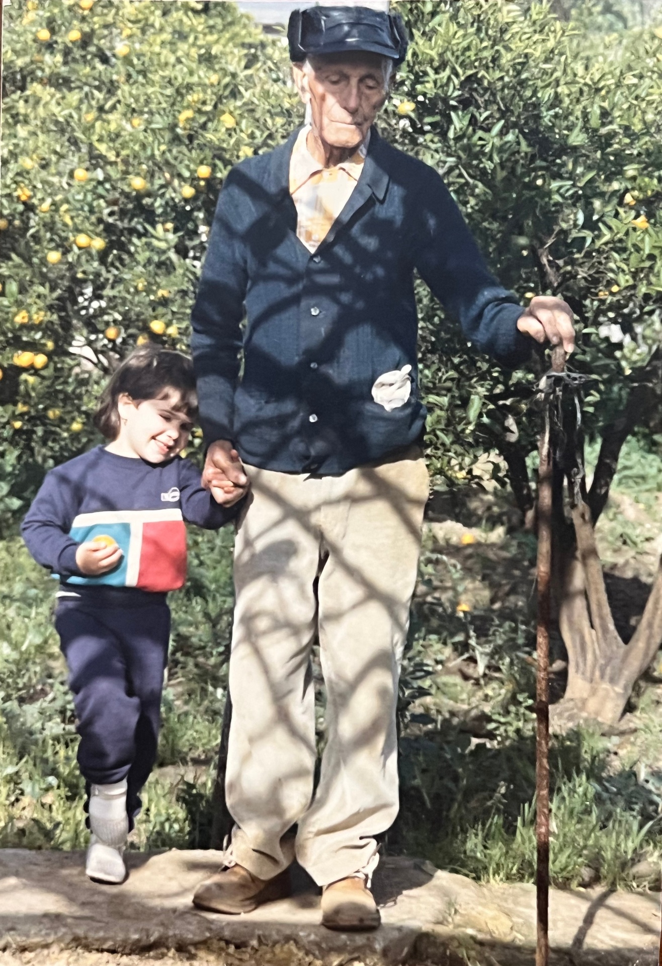 A family in a Western Australian citrus orchard, generations of market gardeners